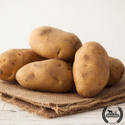 Potato-Russet-organic
