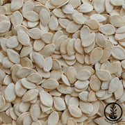 Pumpkin Seeds - Early Harvest Hybrid - Clearance Seeds