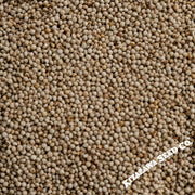 Shiso Seeds (Perilla) - Green (Organic) - Clearance Seeds