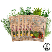 Spring-Herbs-Seed-Assortment-6-Pack