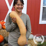 Squash-Seeds-Tahitian-Organic
