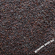 Turnip Seeds - Sugukina - Clearance Seeds