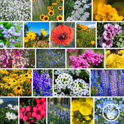Everything Is In The Mix Wildflowers Seeds Collage
