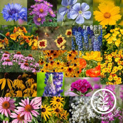 Wildflower Seeds - Midwest Mix