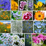 Wildflower Seeds - Low Growing Mix