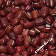 adzuki-bean-doyou