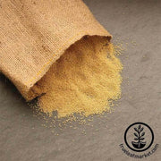 amaranth-organic-bulk-grains-foods