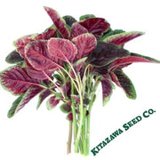 Amaranth Seeds, Red Beauty (aka Tricolor)