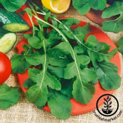 arugula-seeds-runway