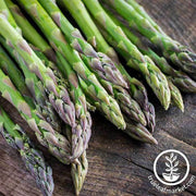 Asparagus Seeds - Mary Washington