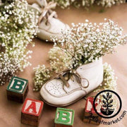 babys-breath-flower