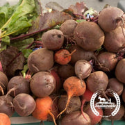 beet-detroit-mix-organic-seeds