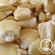 boone-county-white-corn-seed