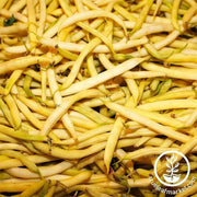 bean-wax-bush-top-notch-golden-wax