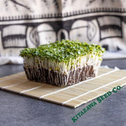 cabbage-seeds-pak-choi-extra-dwarf-microgreens-seeds
