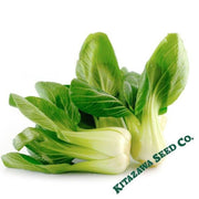 cabbage-seeds-pak-choi-little-shanghai-hybrid