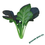cabbage-seeds-pak-choi-red-kingdom-hybrid