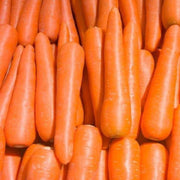 carrot-seeds-brilliance