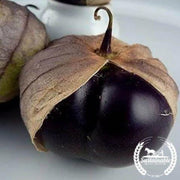 certified-organic-heirloom-vegetable-seeds-organic-tomato-seeds-organic-purple-tomatillo