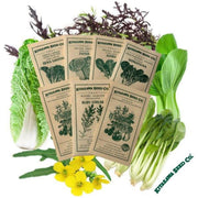 chefs-speciality-baby-leaf-garden