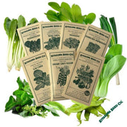 chefs-speciality-stir-fry-garden