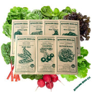 chefs-speciality-zesty-salad-garden