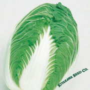 chinese-cabbage-seeds-blues-hybrid