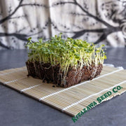 chinese-cabbage-seeds-hiroshimana-microgreens-seeds