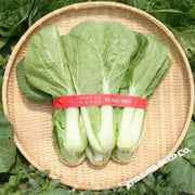 chinese-cabbage-seeds-mansu-hybrid