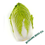 chinese-cabbage-seeds-matsushima-no-2