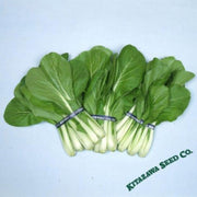 chinese-cabbage-seeds-osaka-shirona