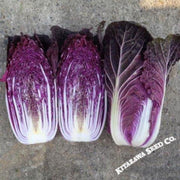 chinese-cabbage-seeds-rcc9-red-hybrid