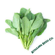 chinese-cabbage-seeds-ryokuho-hybrid