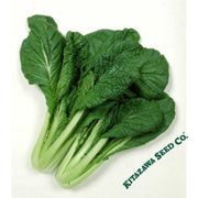 chinese-cabbage-seeds-vitaminna