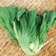 chinese-mustard-seeds