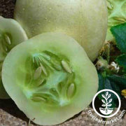 crystal-apple-cucumber-seeds