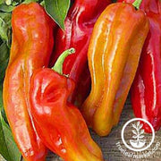 cubanelle-pepper-seeds