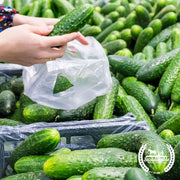 cucumber-76-marketmore-human-Org