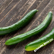 cucumber-japanese-long
