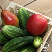 cucumber-seeds-delikatesse