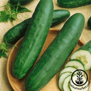 cucumber-seeds-hartley-f1