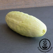 cucumber-seeds-white-wonder