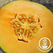 delicious-51-melon-seeds