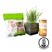 deluxe-cat-grass-kit-with-wooden-planter