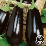 eggplant-seeds-eclipse-f1