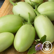 eggplant-seeds-green-envy-f1