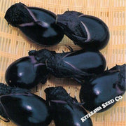 eggplant-seeds-konasu