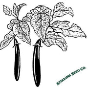 eggplant-seeds-kurume-long