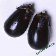 eggplant-seeds-mizuno-takumi-hybrid