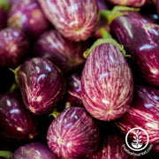 eggplant-seeds-pandora-striped-rose